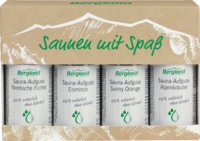 SAUNEN mit Spaß 4 versch.Sorten Konzentrat